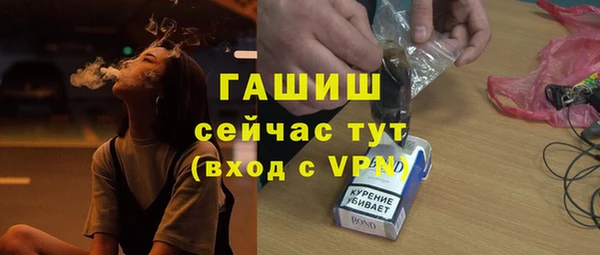 СК Алексин