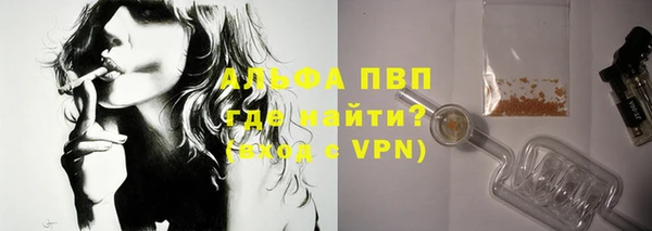 СК Алексин