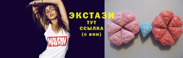 СК Алексин