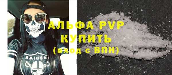 СК Алексин