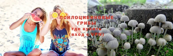 СК Алексин
