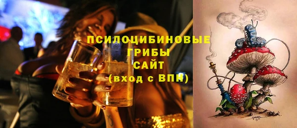 spice Алексеевка
