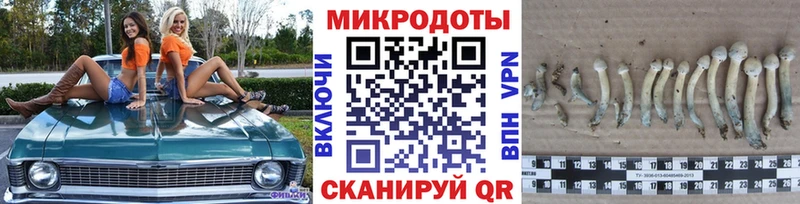 как найти закладки  Верхняя Салда  Галлюциногенные грибы Psilocybe 